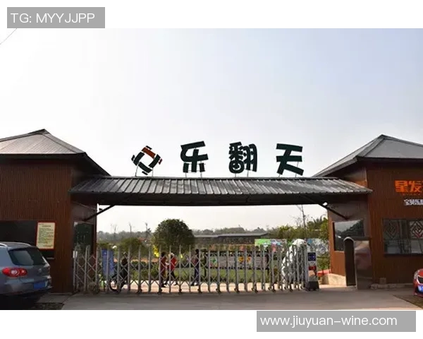 成都羽毛球队勇攀高峰的奋斗故事与冠军赛荣耀之路