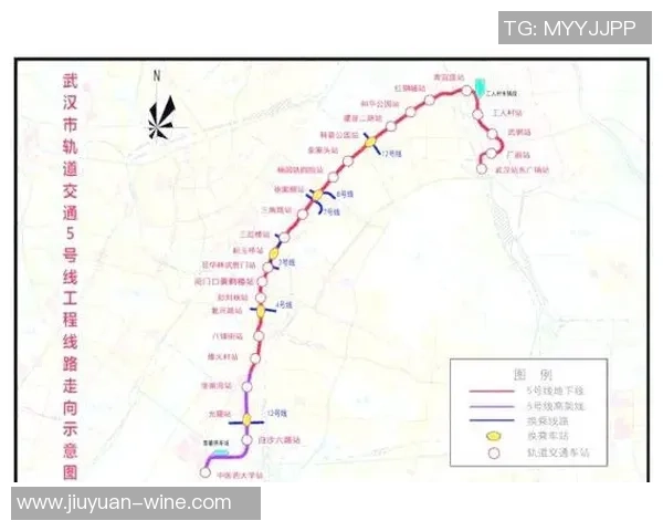 武汉排球队在大师赛中的实力展现与未来发展潜力分析